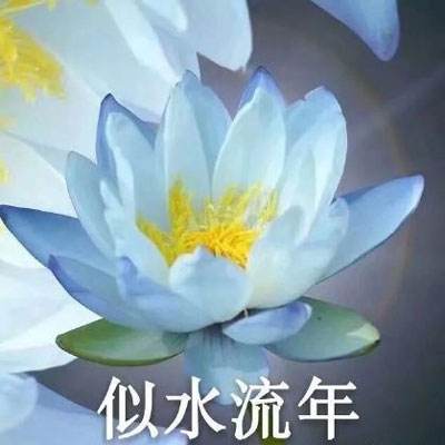 快递业“春节不打烊”，你怎么看？